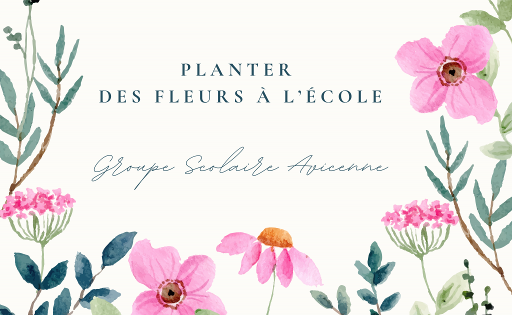 Planter des fleurs à l’école