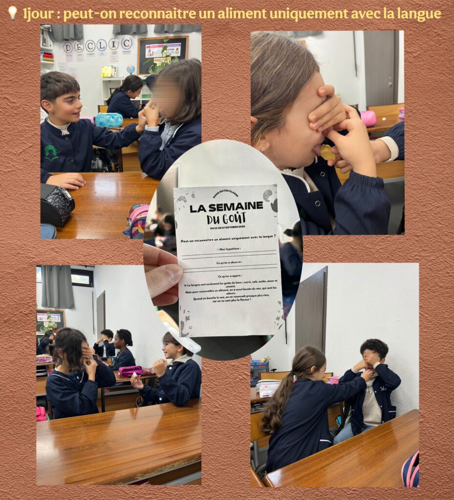 La Semaine Du GoûT 2025 🍎🍫